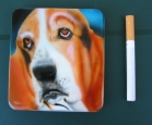 Cagnolino