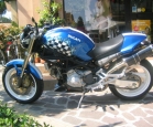Monster Ducati