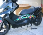 T-Max