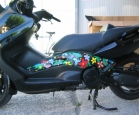 T-Max