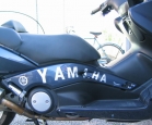 T-Max