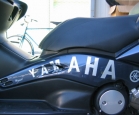 T-Max